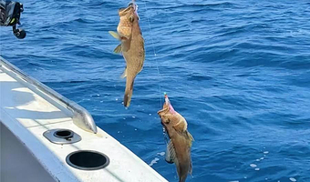 一日游【暑期大促】橘子海海钓单人】