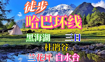 丽江白水台三日游【徒步纯玩哈巴环线+兰花坪+黑海湖+杜鹃谷+白水台+虎跳峡】