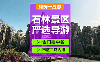 石林风景区一日游【二环接丨含午餐丨严选导游丨品质纯玩】