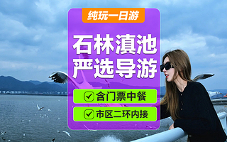 昆明石林风景区+滇池一日游【二环接丨纯玩不购物丨专业讲解  含门票丨午餐】