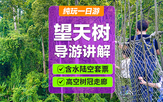 望天树景区一日游【纯玩品质团  水陆空一站式体验】