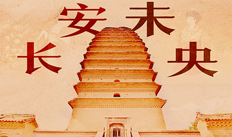 西安博物院半日游【橄榄游●西安博物院 2H人工讲解 专业资深讲师领讲 私享小团 西安博物院讲解】