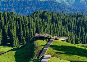 库尔德宁景区+赛里木湖二日游