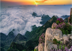 济南出发丨曲阜+泰山+济南三日游纯玩丨【游玩曲阜三孔+登泰山，保平安+济南二大名胜】专业导游讲解