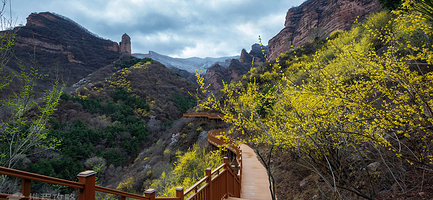 黄崖洞文化旅游区一日游【已含电瓶车+单程索道+单程崖壁电梯  太原出发】