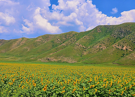呼和浩特出发：红石崖国家生态公园+敕勒川草原·探秘天赐草原之旅 | 拼小团/包车游