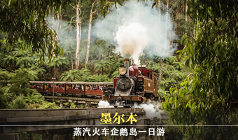 墨尔本普芬比利蒸汽火车+诺比司角中心+菲利普岛+潘尼巧克力工厂+玛璐考拉和动物公园一日游【13人豪华奔驰小团】