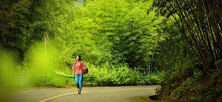 王府竹海度假旅游区一日游【许昌出发】