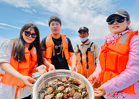 大连棒棰岛+东鸡冠山+十里黄金海岸+老虎滩海洋公园五日游【3钻一家一车|专车接机/站|经典路线逛遍大连|】
