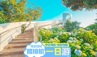 涉地可支+月汀里海边+城山日出峰+咸德海水浴场+柱状节理带+牛岛一日游【济州岛一日游】