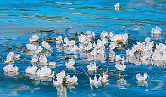 泸沽湖二日游【独立用车、独立划船、赠女神山索道、高端住宿】