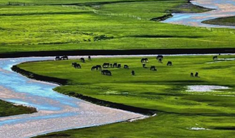 呼伦贝尔额尔古纳国家湿地公园+呼伦贝尔大草原+巴尔虎蒙古部落民俗旅游度假景区四日游【6人小团】