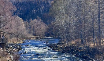 呼伦贝尔阿尔山国家森林公园+额尔古纳国家湿地公园+呼伦湖+铁木真大汗行营+呼伦贝尔大草原五日游