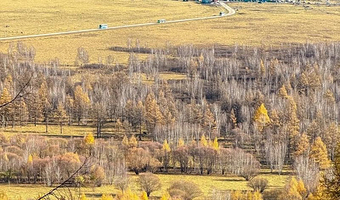 呼伦贝尔阿尔山国家森林公园+莫日格勒旅游景区+额尔古纳国家湿地公园+莫尔道嘎国家森林公园+呼伦贝尔大草原七日游