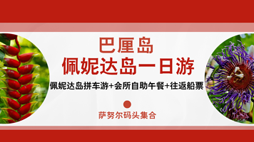 巴厘岛 佩妮达岛一日游【(萨努尔码头集合)佩妮岛拼车游+会所自助午餐+往返船票】