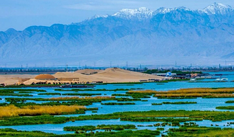 银川通湖草原+沙坡头一日游