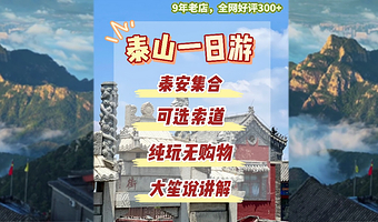 泰山风景区+玉皇顶+天外村+中天门一日游【好评300+/可选索道/含景交往返/天天发团/泰安集合】