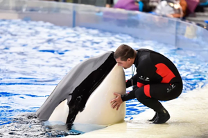 【官方双11闪促】上海海昌海洋公园度假酒店1晚+2日无限次门票（双人/2大1小/2大2小套餐），VIP入园通道