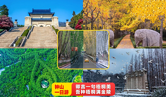 【拼小团】南京中山陵景区+明孝陵+美龄宫+音乐台一日游【8人小团+送景观车+无线耳麦+梧桐大道喂鸽子】
