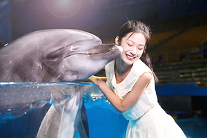 青岛海合安青岛极地海洋公园+青岛出海观光游船一日游【免排队·上门接】