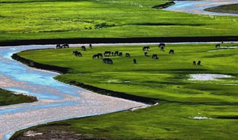 包头希拉穆仁草原一日游【8人小团】