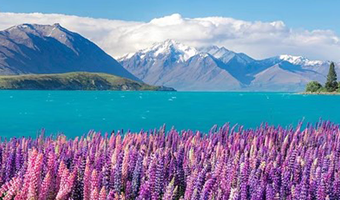 基督城+皇后镇本地玩乐+新西兰米佛峡湾国家公园+奥玛鲁企鹅归巢六日游【当地参团，新西兰南岛中线美食6日游】