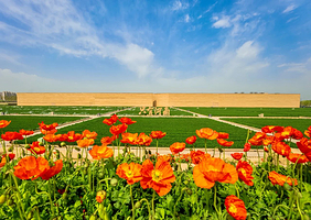 暖冬特惠郑州周边游只有河南官方大促只有剧场1晚+双人只有河南剧场2日1或3主剧+双人自助早餐