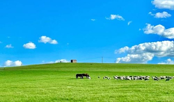 乌兰察布辉腾锡勒草原+乌兰察布乌兰哈达火山地质公园+呼和浩特红石崖国家生态公园三日游【多团型可选】