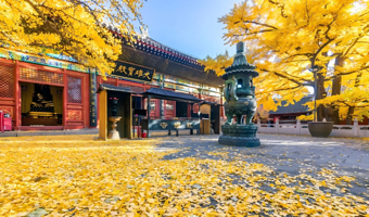 北京红螺寺一日游【祈福专线+每日往返C】