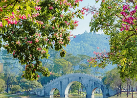 佛山佛山祖庙+清晖园博物馆+逢简水乡+大良华盖路商业步行街一日游【私家包车游+上门接送+广州出发+佛山2线】