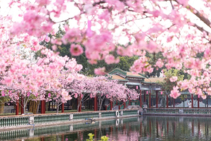 广州宝墨园+南粤苑+余荫山房+沙湾古镇一日游【包游私家团+广州出发+四大名园+砖雕等非物质文化遗产+番禺1线】