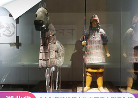 湖北省博物馆2H深度讲解+含门票 ·可选编钟演出票 ·可选VIP小团