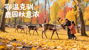 大兴安岭漠河县城+北极村+北红村+鄂温克驯鹿园+胭脂沟+林海观音山+北极星广场三日游【一场穿越时空的极北之旅】