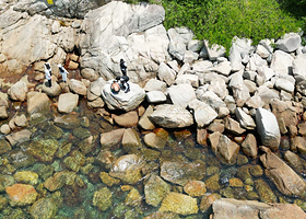 深圳大鹏新区吉奥湾出海体验【快艇观光往返+浮潜+赶海+海上浆板+海上皮划艇体验】