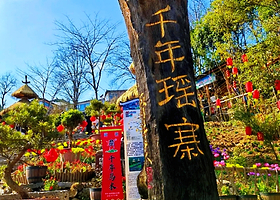 清远千年瑶寨一日游【赏中国历史文化名村+欣赏瑶族歌舞+私家团+广州接送】