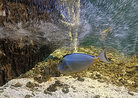 【酒店套餐】桔子酒店（嘉兴江南摩尔店）1晚+双人早餐+嘉兴海底世界单次票（可选人群）