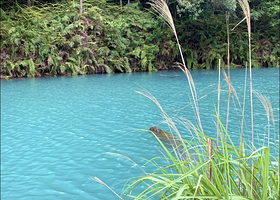 莆田九龙谷景区一日游【自由畅玩+上门接送+私家团不拼人】