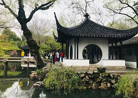 苏州拙政园+寒山寺+山塘街一日游【可选狮子林/虎丘多套餐】