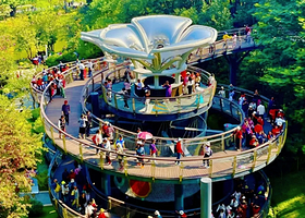 【私家团】外观广州塔+网红云萝植物园+广州南越王博物院+陈家祠+永庆坊+沙面1日游<广州3线+珠海接送>