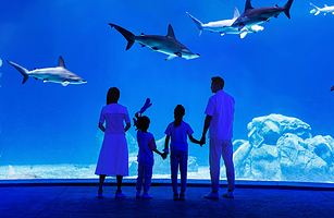 【酒店套票】★室内★珠海长隆2天1晚企鹅/飞船/横琴湾/马戏/迎海酒店+飞船乐园2日票可选长隆秀/卡卡虎/含餐