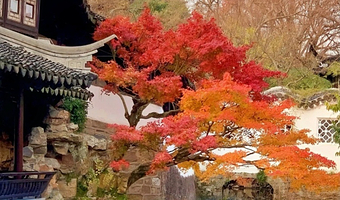 拙政园+寒山寺+周庄一日游