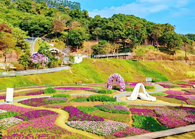 【私家团】从化天人山水大地艺术园玩水避暑+罗洞工匠小镇麦田1天游<遛娃圣地&情侣&亲友家庭>广州接送+从化8线