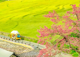 【私家团】从化天人山水大地艺术园玩水避暑+罗洞工匠小镇麦田1天游<遛娃圣地&情侣&亲友家庭>深圳接送+从化8线