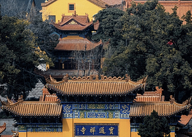 武汉宝通禅寺一日游【专业导游精讲1.5H＋独立耳麦＋私家团】