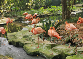 【酒店套餐】南宁动物园单次票（可选人群）+南宁丽呈睿轩酒店（广西大学动物园地铁站店）1晚