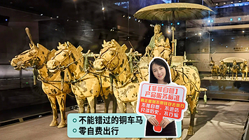 西安秦始皇帝陵博物院(兵马俑)+华清宫+秦始皇帝陵博物院-丽山园一日游【长恨歌·专车接早·真纯玩无自费】