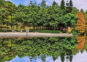 中英街+大梅沙海滨公园+地王观光·深港之窗+花城广场+白云山+黄埔军校旧址纪念馆+陈家祠二日游【深圳广州】