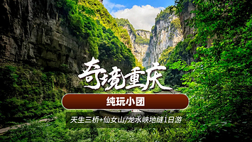 【拼小团】武隆天生三桥+龙水峡地缝/仙女山森林公园+乌江画廊观景台一日游【8人小团更舒心丨含武隆往返车+门票】
