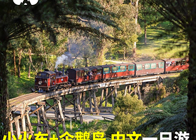 【可接急单】墨尔本普芬比利蒸汽小火车＋企鹅岛企鹅归巢＋ 动物园一日游 中文一日游含接送