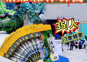 一日游【云南西双版原始森林公园门票＋电动车往返接送 | 线上管家服务】